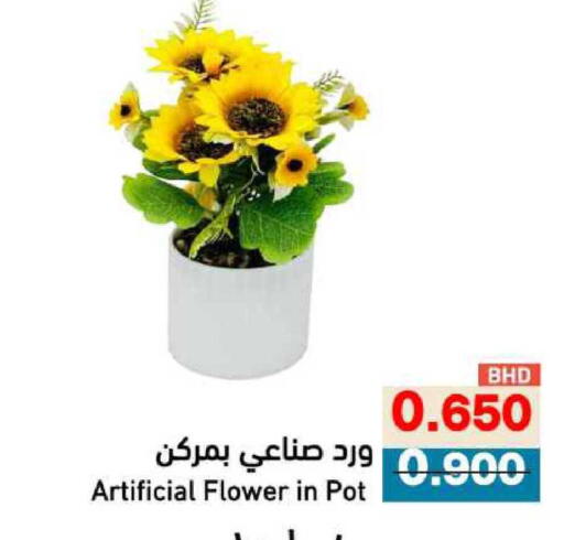 available at رامــز in البحرين