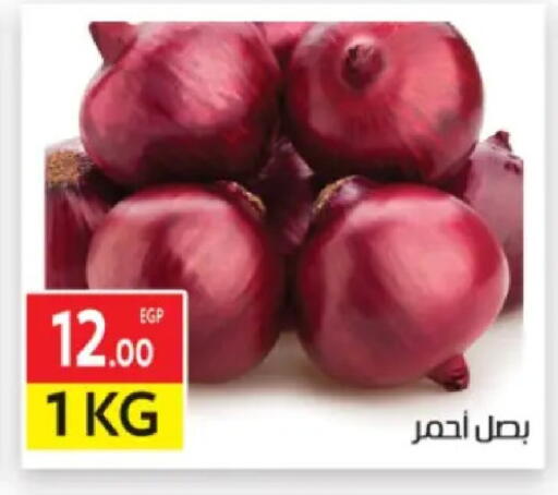 available at المحلاوي ماركت in Egypt - القاهرة