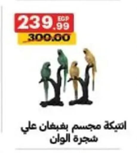 available at الحبيب ماركت in Egypt - القاهرة