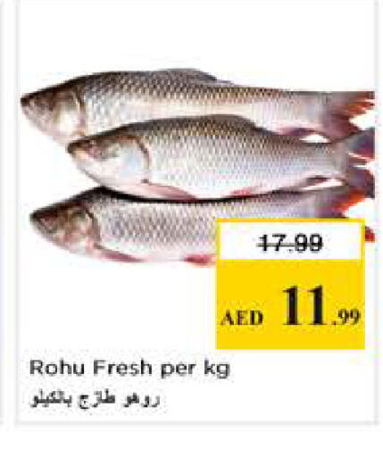 available at نستو هايبرماركت in الإمارات العربية المتحدة , الامارات - الشارقة / عجمان