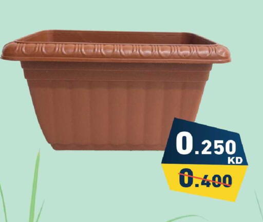 available at Ramez in Kuwait - Jahra Governorate