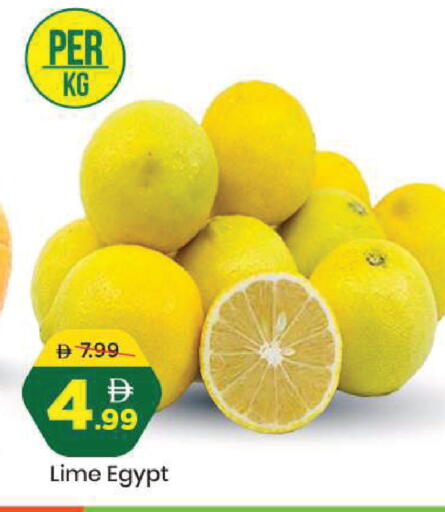 from Egypt available at مارك & سيف in الإمارات العربية المتحدة , الامارات - أبو ظبي