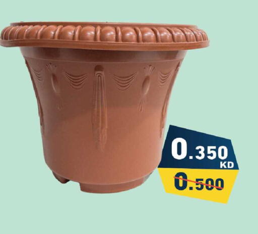 available at Ramez in Kuwait - Jahra Governorate