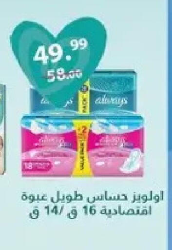 available at الحبيب ماركت in Egypt - القاهرة