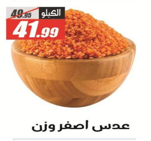 available at الفرجاني هايبر ماركت in Egypt - القاهرة