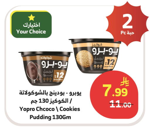 available at Al Raya in KSA, Saudi Arabia, Saudi - Abha