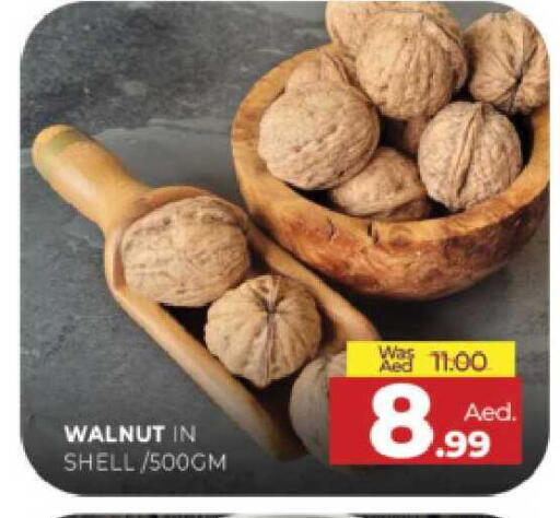 available at المدينة in الإمارات العربية المتحدة , الامارات - الشارقة / عجمان