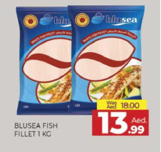 available at المدينة in الإمارات العربية المتحدة , الامارات - الشارقة / عجمان