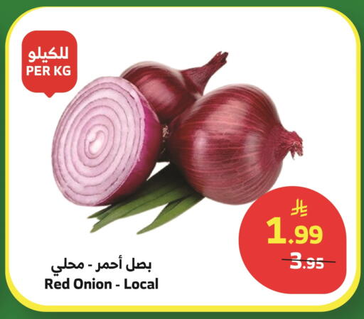 Onion available at Al Raya in KSA, Saudi Arabia, Saudi - Najran