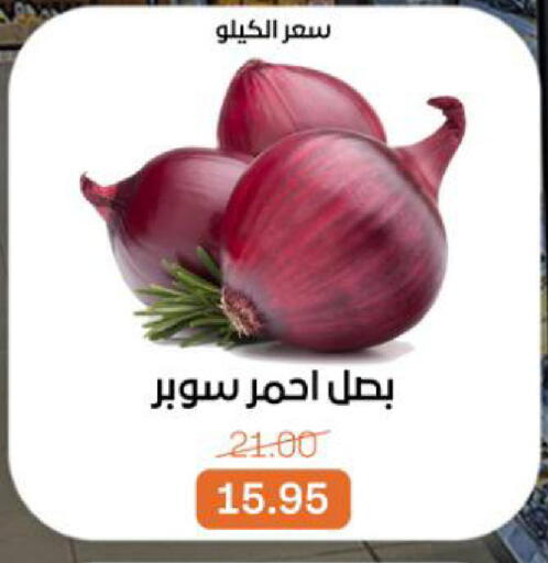 available at بيت الجملة in Egypt - القاهرة