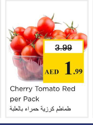 Cherry Cherry tomato available at Nesto Hypermarket in UAE - Dubai