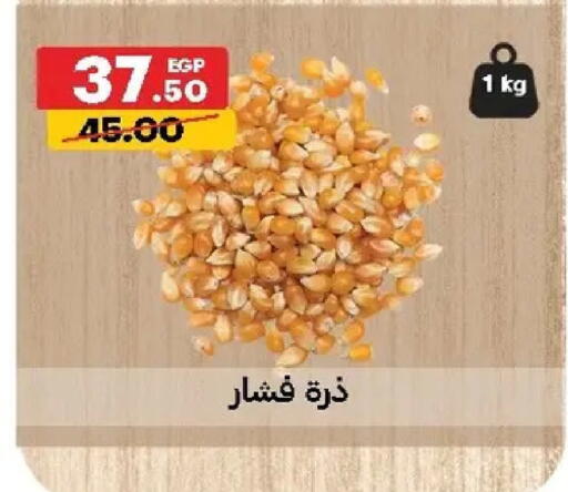 available at الحبيب ماركت in Egypt - القاهرة