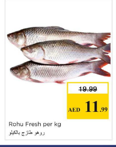 available at نستو هايبرماركت in الإمارات العربية المتحدة , الامارات - الشارقة / عجمان