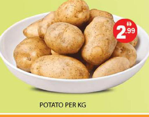 Potato available at زين مارت سوبرماركت in الإمارات العربية المتحدة , الامارات - رَأْس ٱلْخَيْمَة