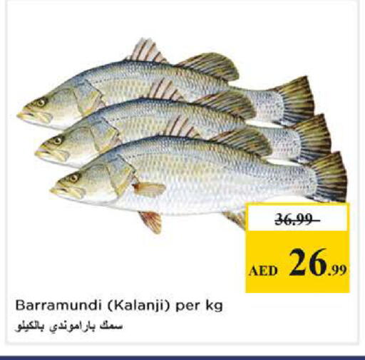 available at Nesto Hypermarket in UAE - Abu Dhabi