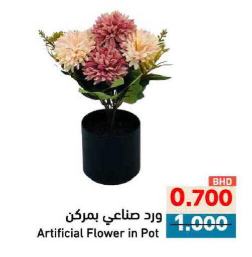 available at رامــز in البحرين