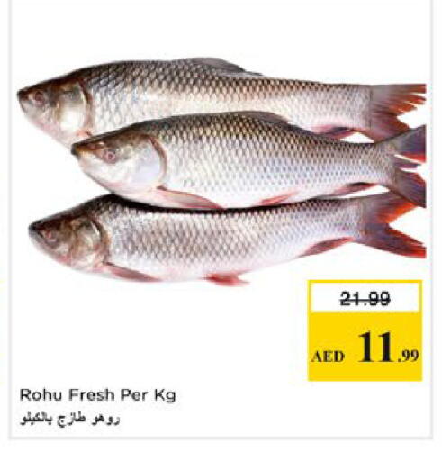 available at Nesto Hypermarket in UAE - Fujairah