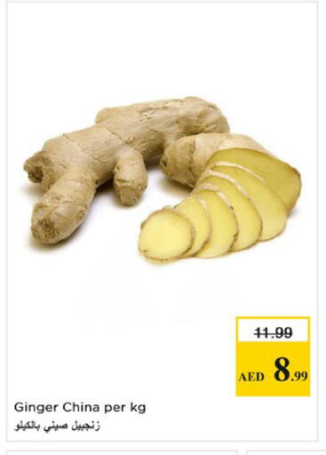 Ginger from China available at نستو هايبرماركت in الإمارات العربية المتحدة , الامارات - ٱلْفُجَيْرَة‎
