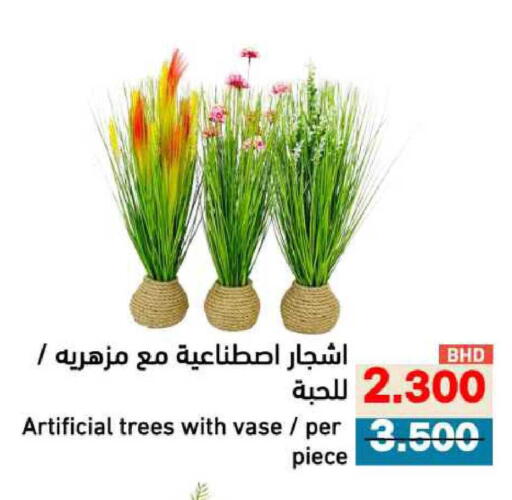 available at رامــز in البحرين