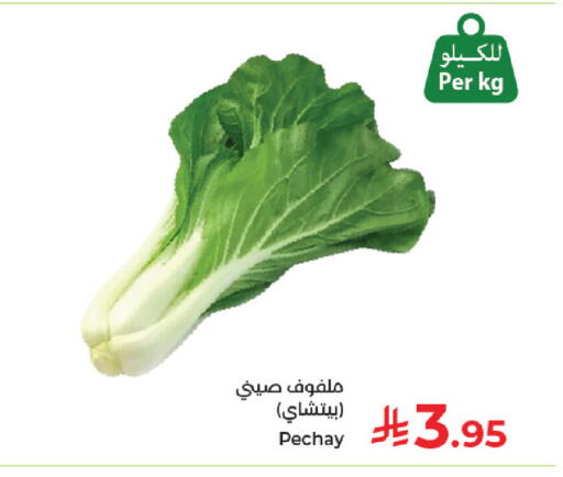 available at كبايان هايبرماركت in مملكة العربية السعودية, السعودية, سعودية - جدة
