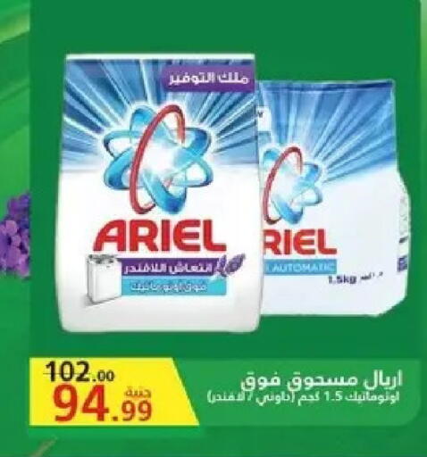 available at الحبيب ماركت in Egypt - القاهرة