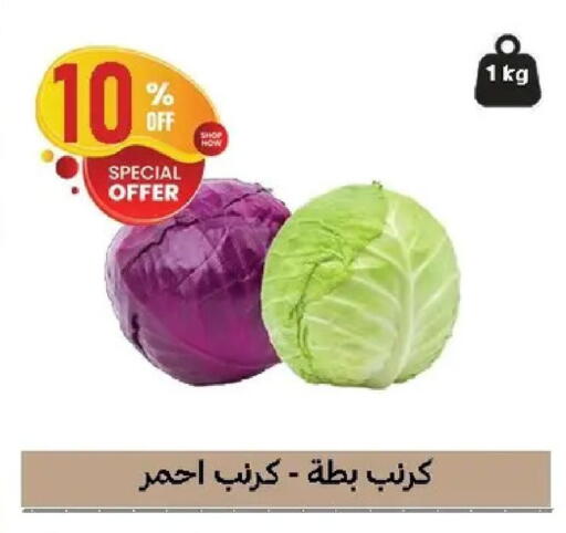 available at الحبيب ماركت in Egypt - القاهرة