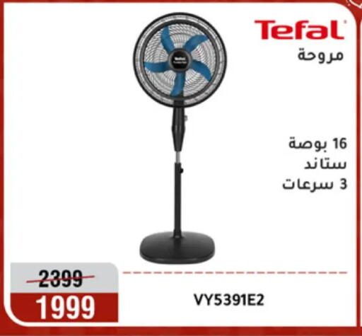 available at Al Morshedy  in Egypt - Cairo