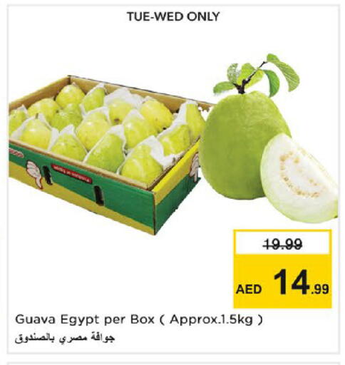 Guava from Egypt available at نستو هايبرماركت in الإمارات العربية المتحدة , الامارات - رَأْس ٱلْخَيْمَة