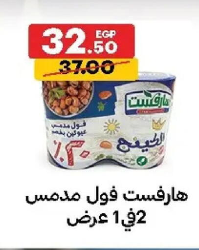 available at الحبيب ماركت in Egypt - القاهرة