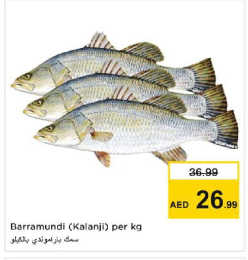 available at نستو هايبرماركت in الإمارات العربية المتحدة , الامارات - رَأْس ٱلْخَيْمَة