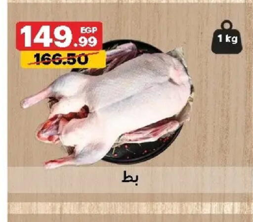 available at الحبيب ماركت in Egypt - القاهرة