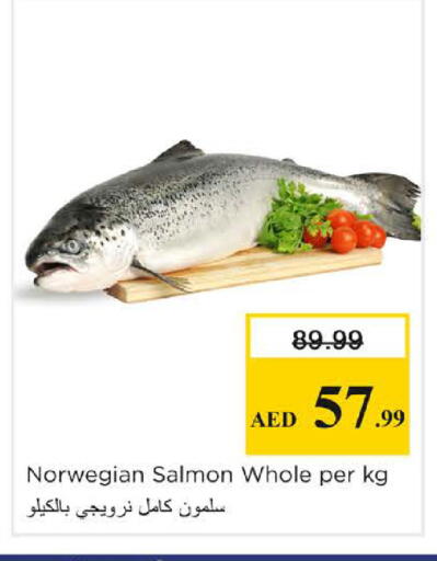 available at نستو هايبرماركت in الإمارات العربية المتحدة , الامارات - الشارقة / عجمان