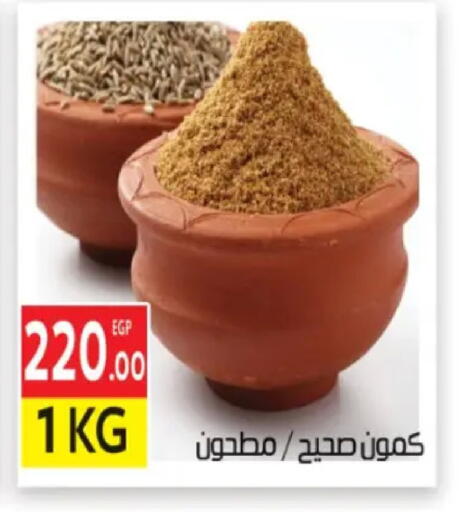 available at المحلاوي ماركت in Egypt - القاهرة