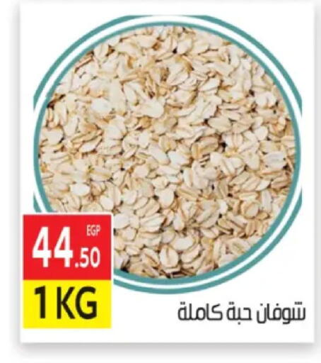 available at المحلاوي ماركت in Egypt - القاهرة