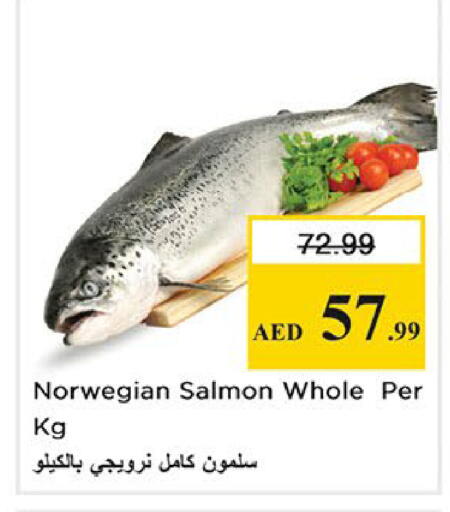 available at Nesto Hypermarket in UAE - Dubai