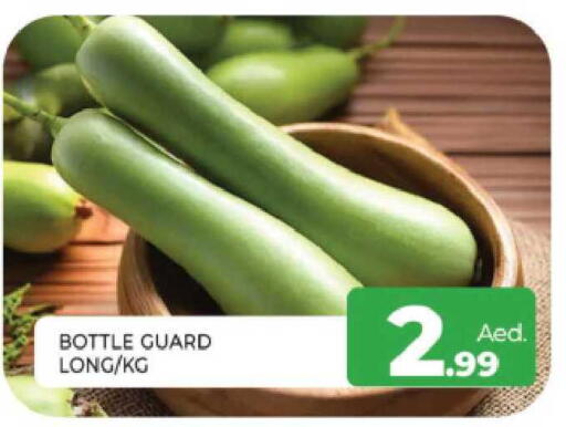 available at المدينة in الإمارات العربية المتحدة , الامارات - الشارقة / عجمان