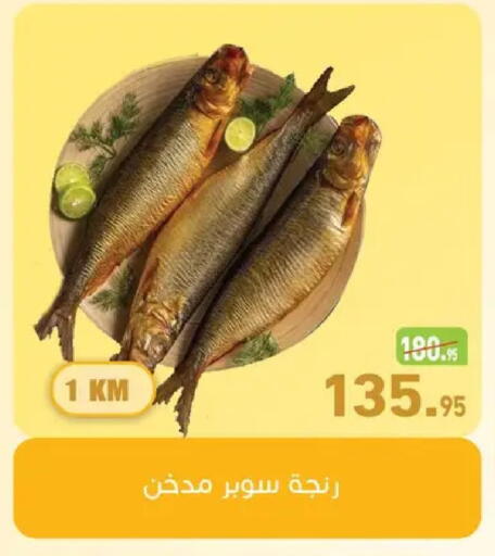 available at أسواق العثيم in Egypt - القاهرة