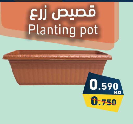 available at Ramez in Kuwait - Jahra Governorate