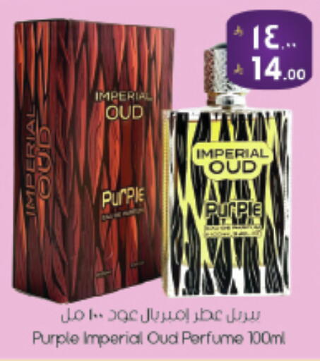 available at ستي فلاور in مملكة العربية السعودية, السعودية, سعودية - حائل‎