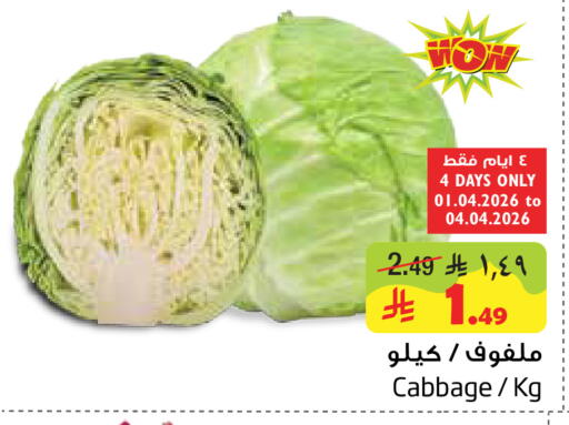 Cabbage available at Layan Hyper in KSA, Saudi Arabia, Saudi - Al Khobar