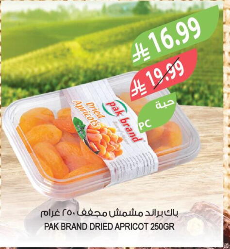 Apricot available at المزرعة in مملكة العربية السعودية, السعودية, سعودية - الرياض