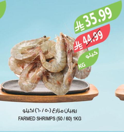 available at المزرعة in مملكة العربية السعودية, السعودية, سعودية - جدة