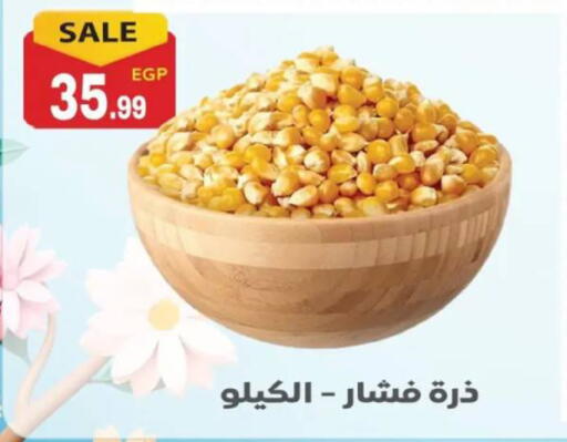 available at El mhallawy Sons in Egypt - Cairo