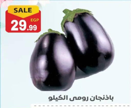 available at أولاد المحاوى in Egypt - القاهرة