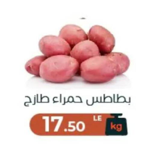available at عرفة ماركت in Egypt - القاهرة