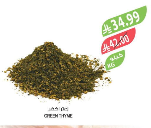Thyme available at المزرعة in مملكة العربية السعودية, السعودية, سعودية - الرياض