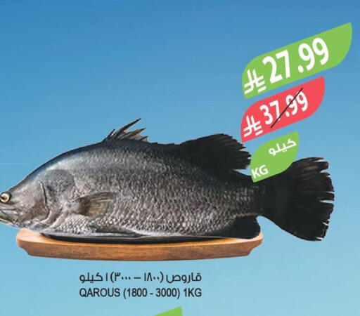 available at المزرعة in مملكة العربية السعودية, السعودية, سعودية - جدة