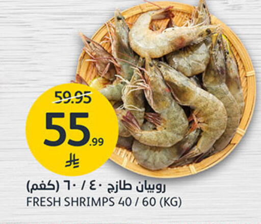 available at مركز الجزيرة للتسوق in مملكة العربية السعودية, السعودية, سعودية - الرياض
