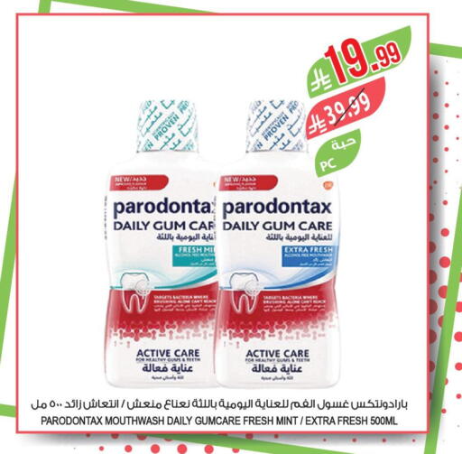 Mint available at Farm  in KSA, Saudi Arabia, Saudi - Najran