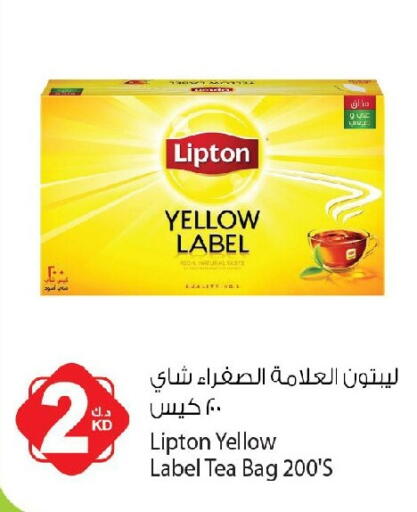 available at Agricultural Food Products Co. in Kuwait - Jahra Governorate